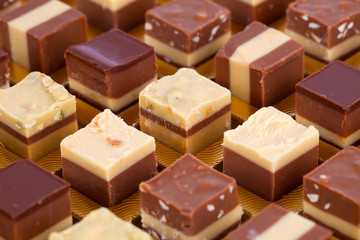 delicious chocolate pralines