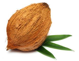 Fresh coconut with leaves