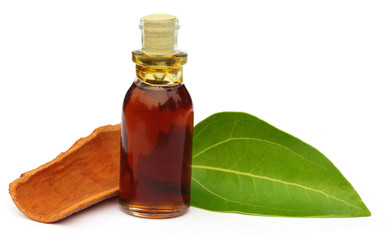 Cinnamon leaf with bark and essential oil