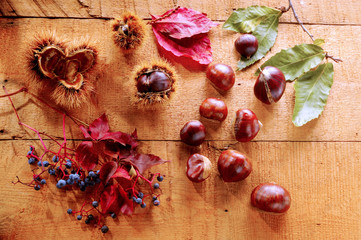 chestnuts scattered on wood boards