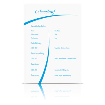 Lebenslauf