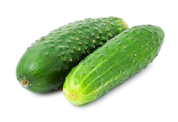 Fresh cucumber