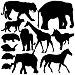 Silhouettes of animals