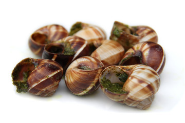 escargots