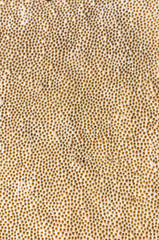 Holes