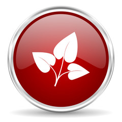leaf icon