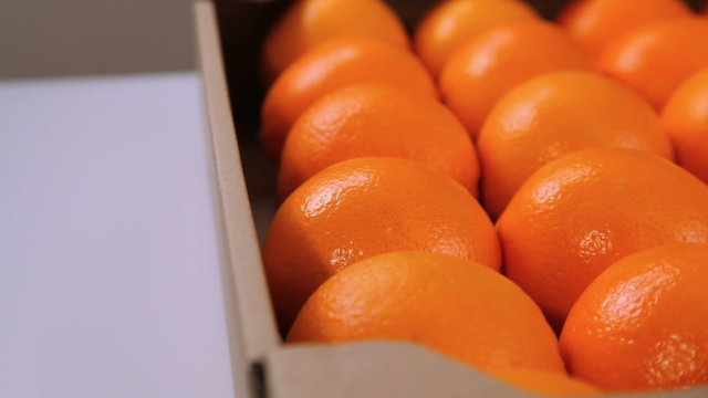 oranges box