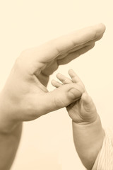 Baby hand gently holding adult's finger