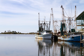 Docked Shrimpers Boats