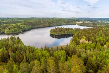 Foto op Plexiglas Lente Lake View with Forest