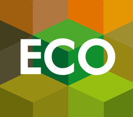 eco design