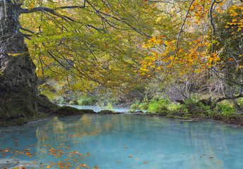Autumn landscape with turquoise water.Northern Spain.