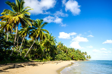 lonely caribbean beach