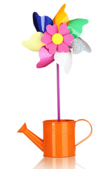 Colored pinwheel in watering can isolated on white