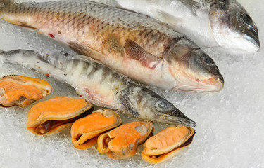 Fresh seafood on ice