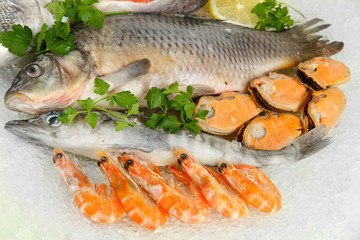 Fresh seafood on ice