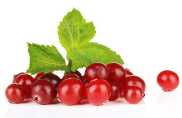 Ripe red cranberries, isolated on white.