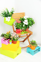 Many beautiful flowers on chair in room close-up