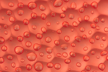 Texture honeycombs close-up background