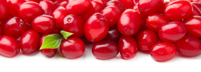 Fresh cornel berries isolated on white