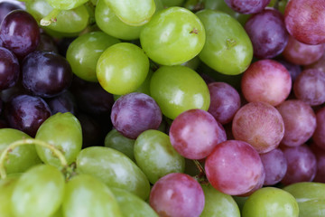 Ripe green and purple grapes close-up background
