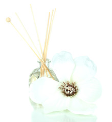 Obraz premium Aromatic sticks for home isolated on white