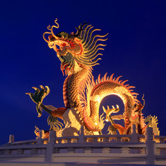 Fototapeta premium golden dragon on beautiful sky background