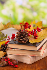 Books and autumn leaves on wooden table on natural background