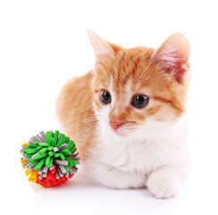 Little kitten with ball isolated on white