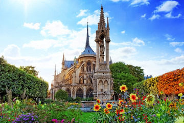 Obraz premium Notre Dame de Paris Cathedral, garden with flowers.Paris. France