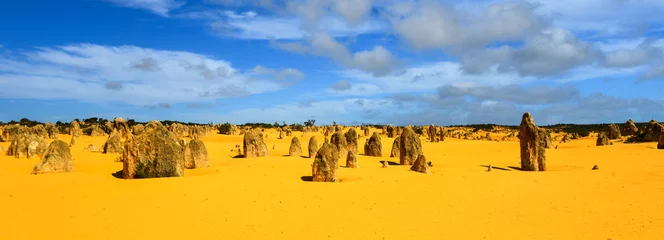 Fotobehang Oranje Pinnacles Desert, Australië  © demerzel21