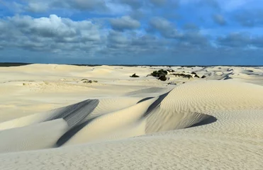 Foto op Canvas White sand dunes of Nilgen Nature Reserve © demerzel21