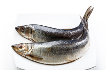 herring