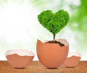 Tree in the shape of heart growing out of the egg