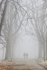 Couple walking in mist. October morning in old park