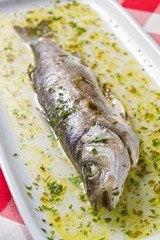 Sea Bass