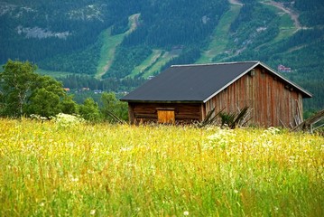Fototapeta premium Wooden barn in landscape