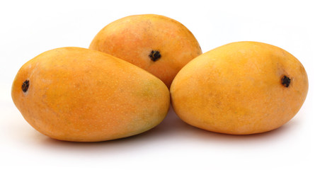 Fresh Mangoes