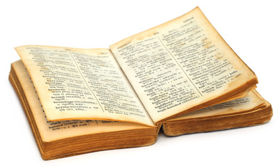 Obraz premium Old Bengali to English Dictionary