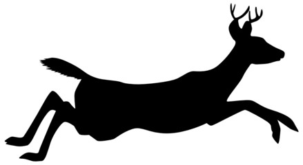 Hirsch © frilled_dragon