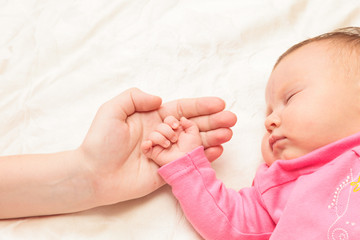 Newborn baby is held by the hand the paren