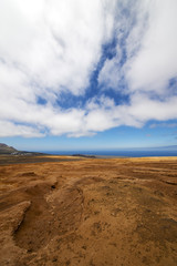 bush timanfaya   volcanic and summer  lanzarote spain lagoon
