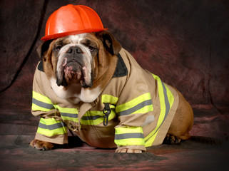 fire dog