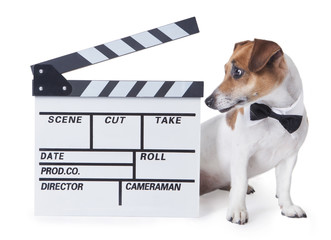 Movie video star animal © Iryna&Maya