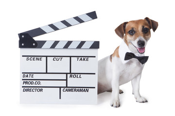 Pet movie star