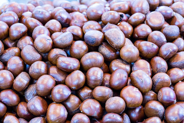 chestnut