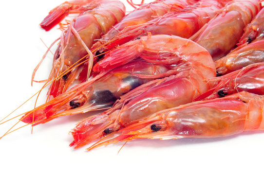 fresh raw shrimps