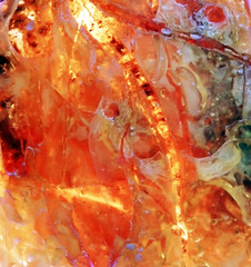 Obraz na płótnie Canvas Baltic amber, resin segments, fossil millions of years