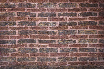 Laterite bricks
