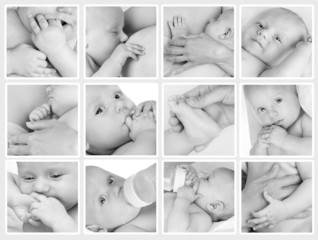 Collage of photos of babies